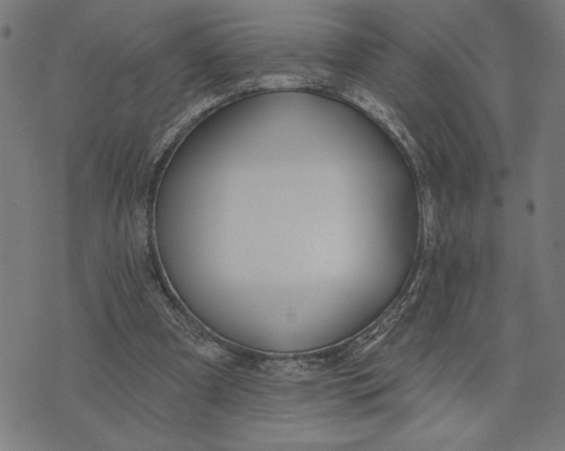 X0000073520297200608211811