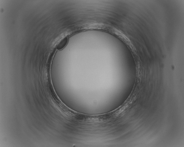 X0000073520298200608211811