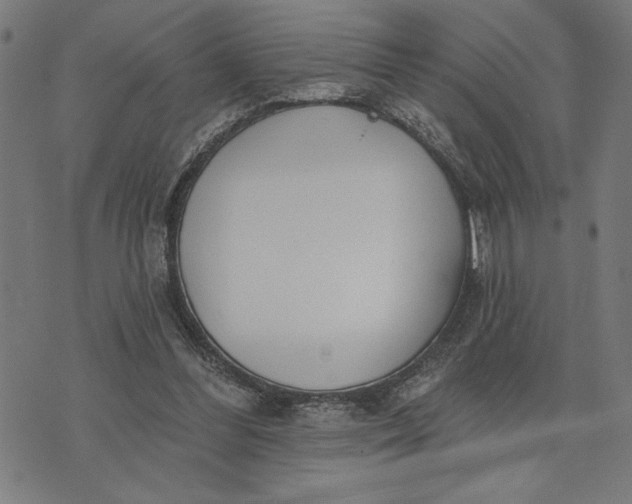 X0000073520300200608211811