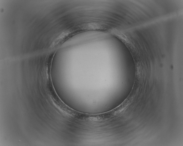 X0000073520302200608211811