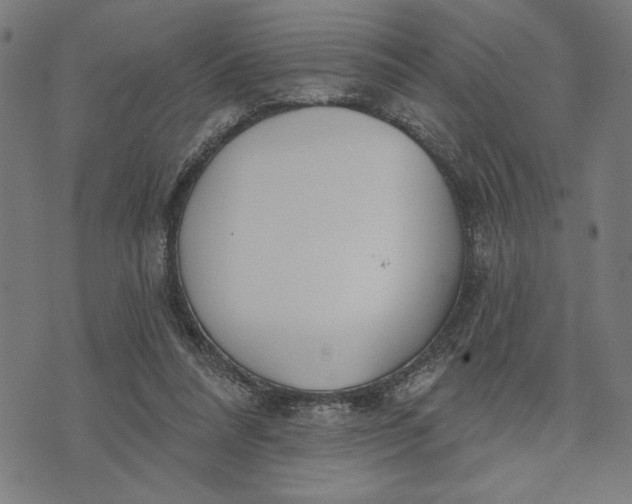 X0000073520304200608211811