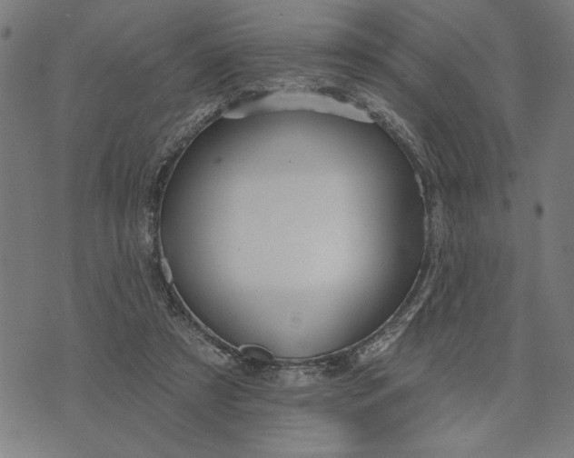 X0000073520305200608211811