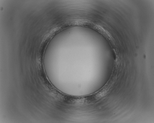 X0000073520306200608211811