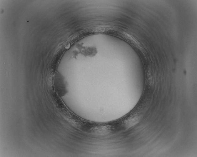 X0000073520307200608211811