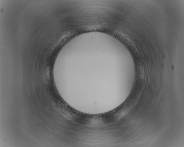 X0000073520308200608211811