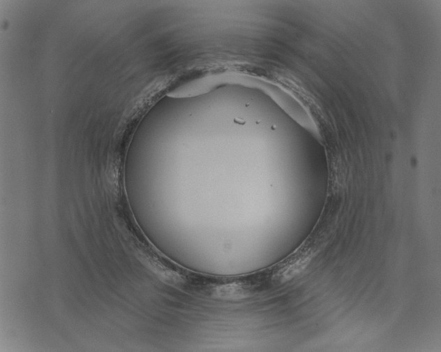 X0000073520309200608211811