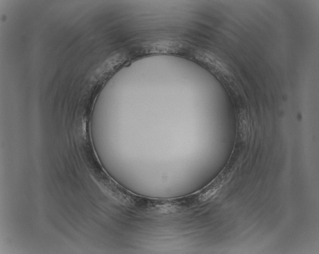 X0000073520310200608211811