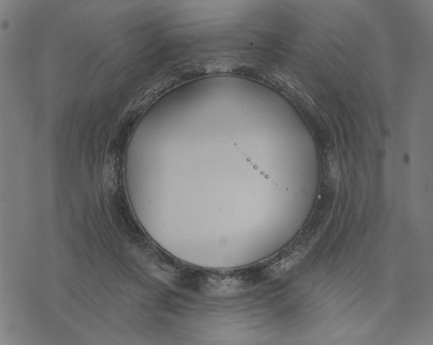 X0000073520311200608211811