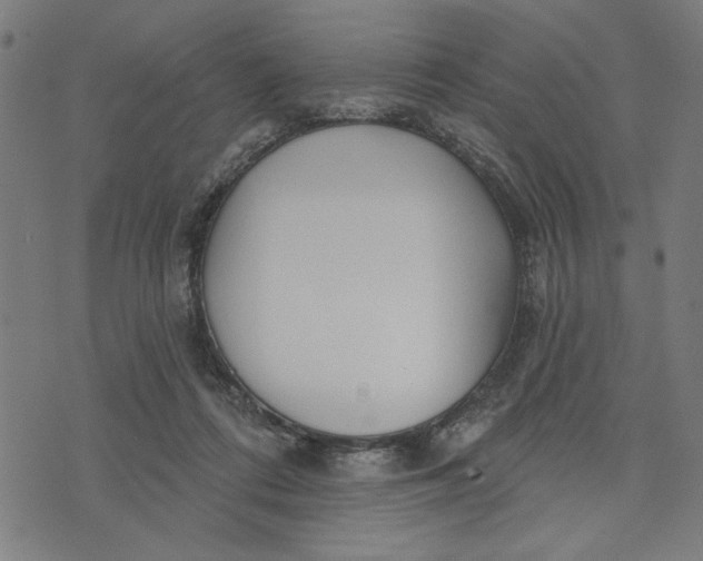 X0000073520312200608211811