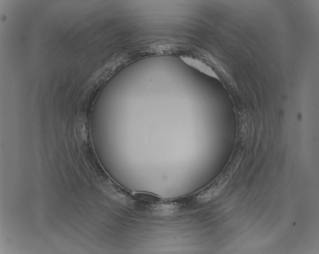 X0000073520313200608211811