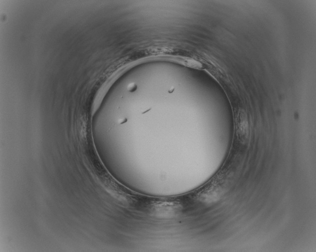 X0000073520315200608211811