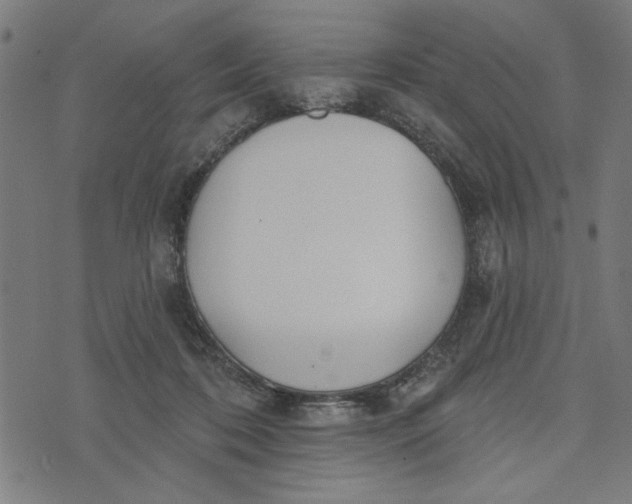 X0000073520316200608211811