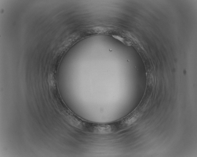 X0000073520317200608211811