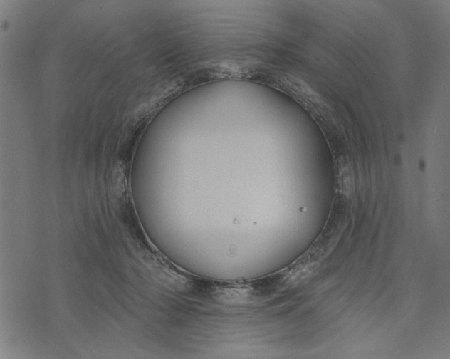 X0000073520318200608211811