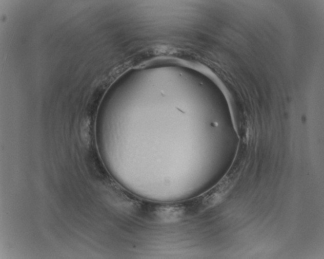 X0000073520319200608211811