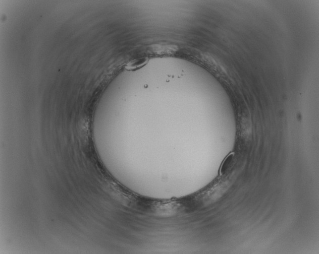 X0000073520321200608211811