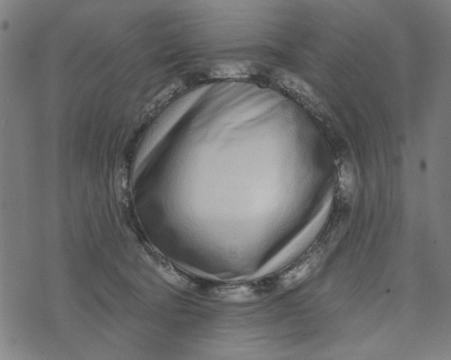 X0000073520322200608211811