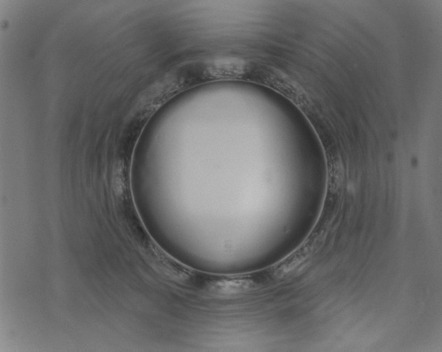 X0000073520323200608211811