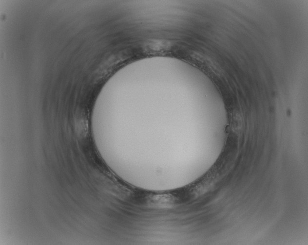 X0000073520324200608211811