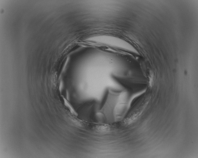 X0000073520325200608211811