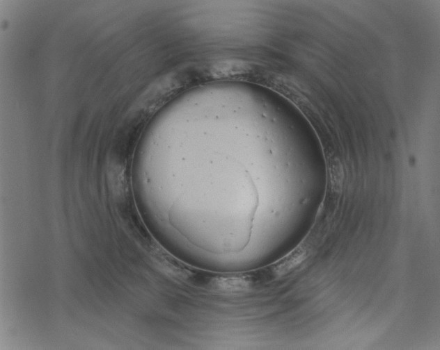 X0000073520327200608211811