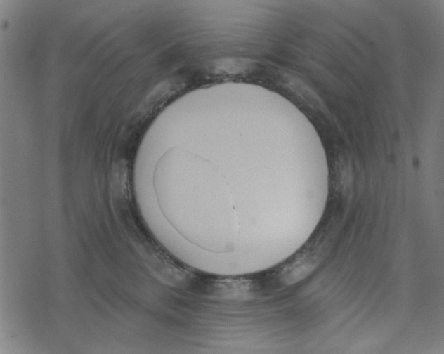 X0000073520328200608211811