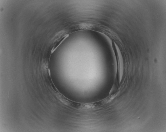 X0000073520329200608211811