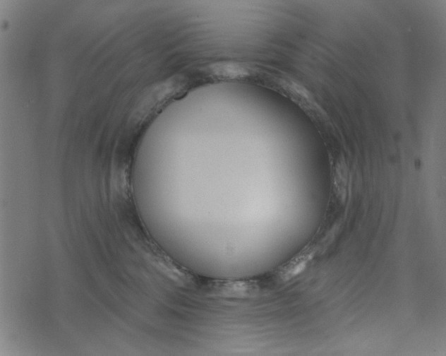 X0000073520330200608211811