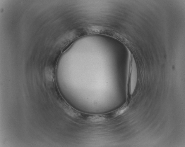 X0000073520331200608211811