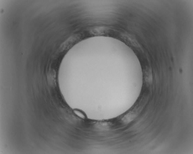 X0000073520332200608211811