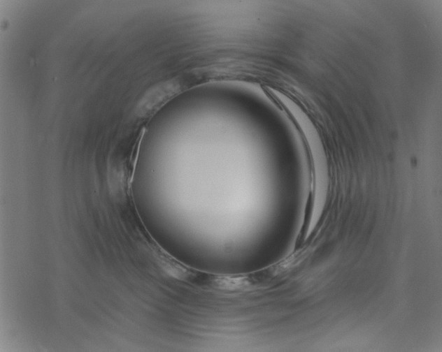 X0000073520333200608211811