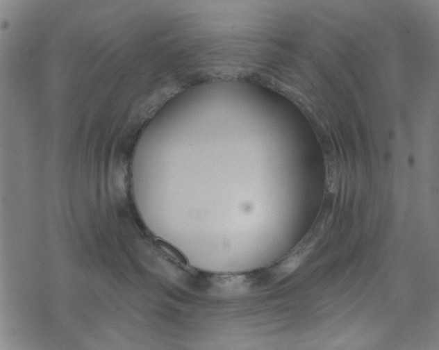 X0000073520334200608211811