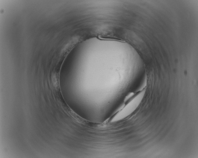 X0000073520335200608211811