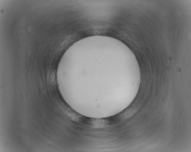 X0000073520336200608211811