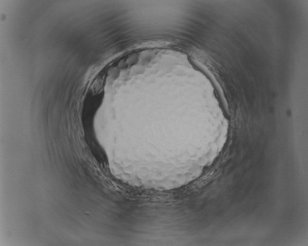 X0000073520337200608211810