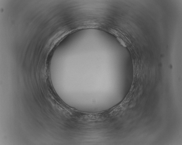 X0000073520338200608211810