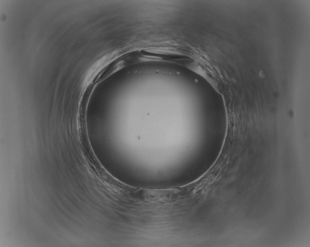 X0000073520340200608211810