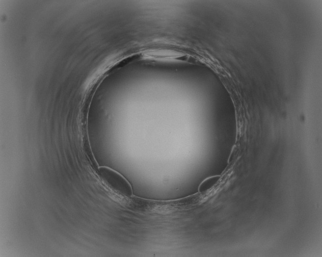 X0000073520341200608211810