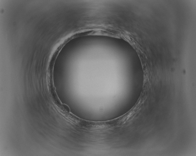 X0000073520342200608211810