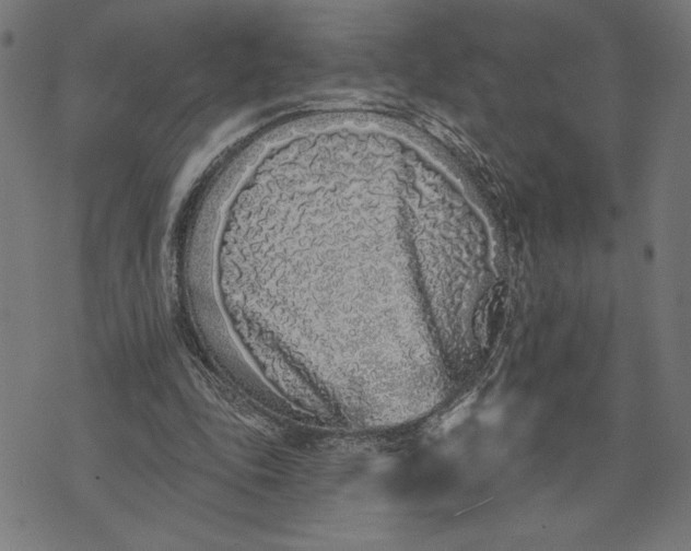 X0000073520343200608211810