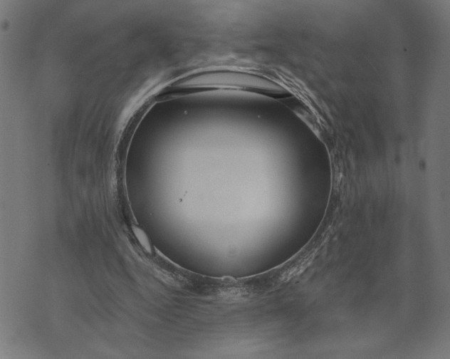 X0000073520344200608211810