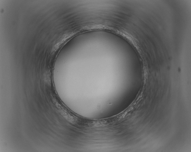 X0000073520345200608211810