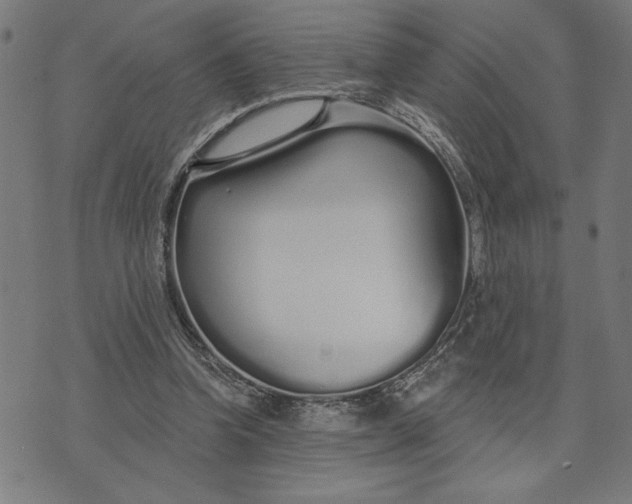 X0000073520346200608211810