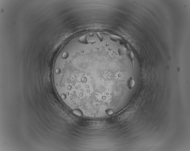 X0000073520347200608211810