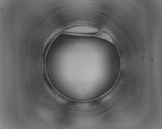 X0000073520349200608211810