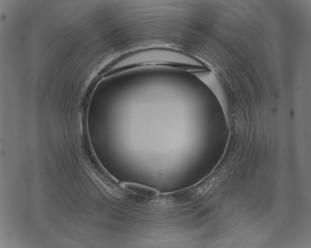 X0000073520350200608211810