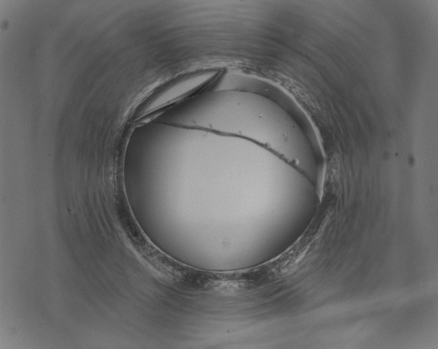 X0000073520352200608211810