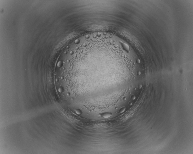 X0000073520353200608211810