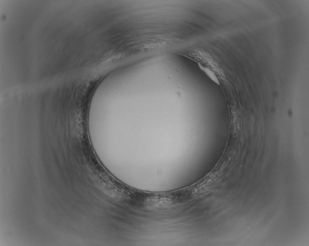 X0000073520354200608211810