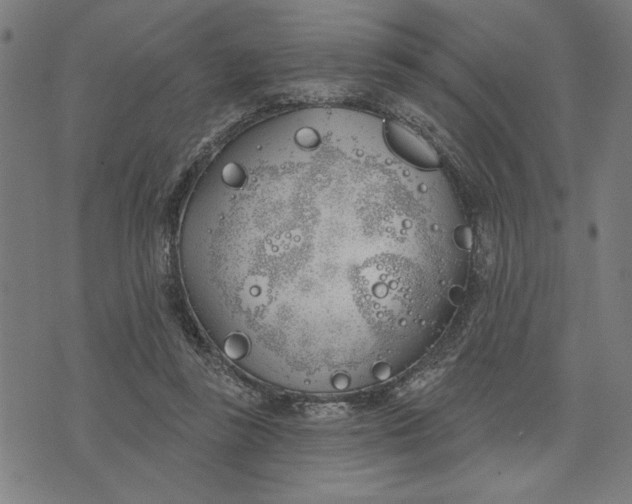 X0000073520355200608211810